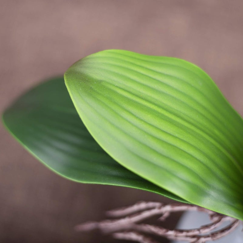 Fnize Faux Orchid Leaves Artificial Phalaenopsis Leaf Bulk 10 Inches 2pcs Real Touch Latex Cymbidium Stems Green Plant - Image 4